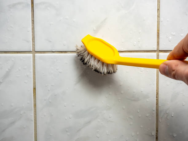 Best Post-Remediation Services in Mount Ora, OH