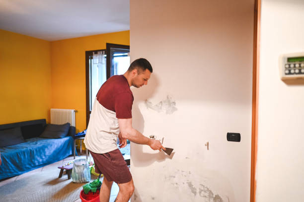 Mount Ora, OH Mold Remediation Company